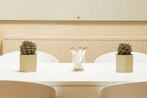 weißer Tisch mit zwei Kakteen und Bleistiften in einem Glas