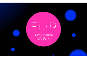 Fraud & Scams: Erkennen, Verstehen, Handeln