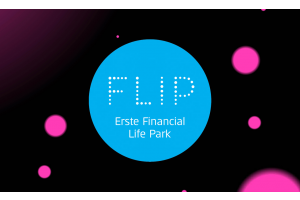 Bildungsweg und Arbeitswelt